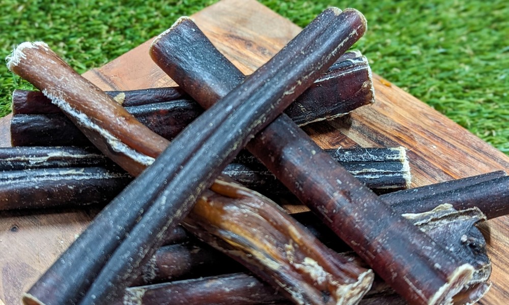 Bully Sticks for Dogs: The Chew That’s More Than Just a Treat