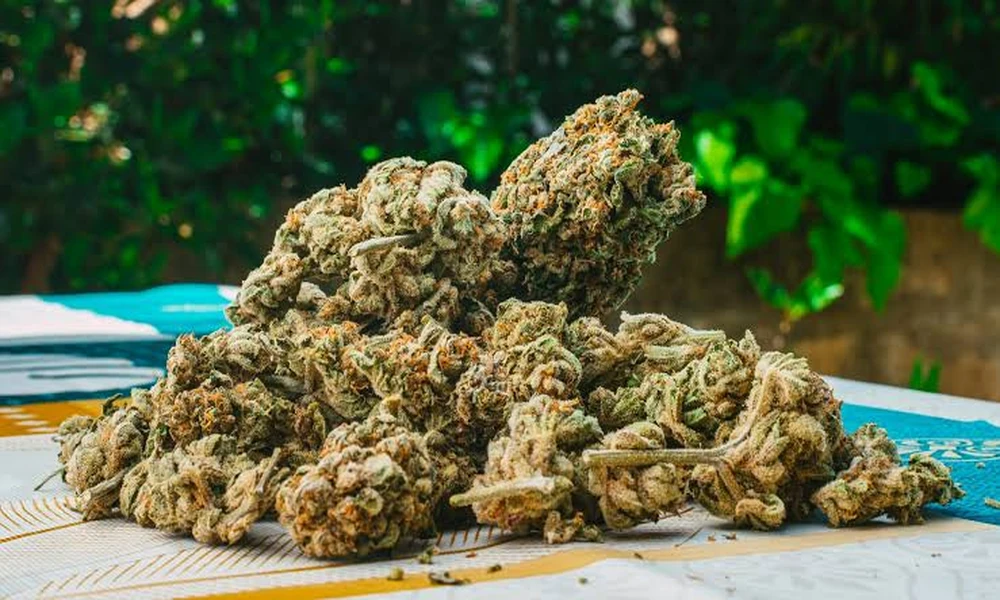 What are the physical characteristics of THCA flowers?
