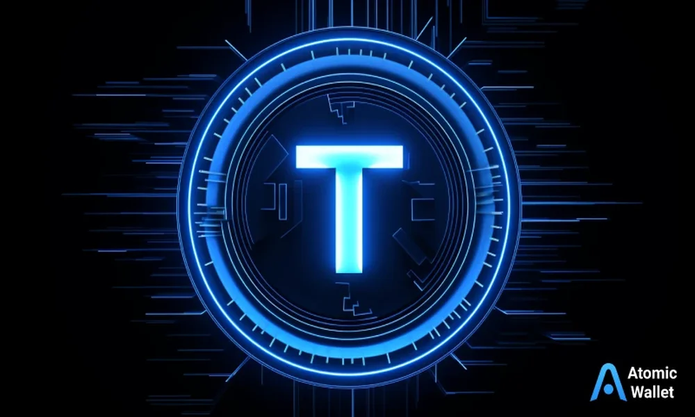 What role do token contract ownership structures play in crypto casino rewards?